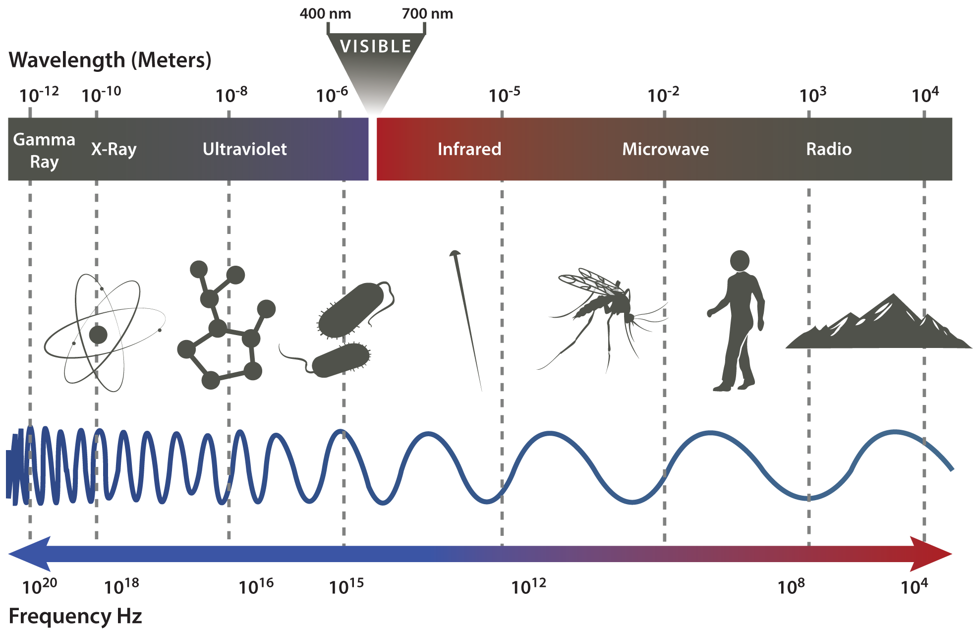 POP_Radiation_illustration.tif